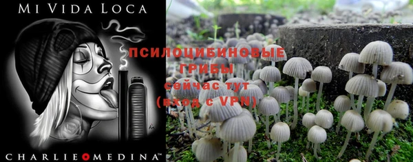 гашиш Арсеньев