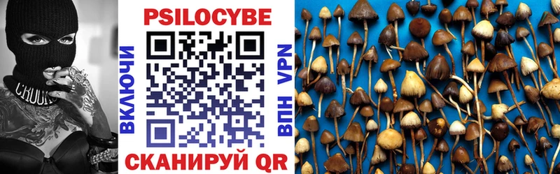 Галлюциногенные грибы Magic Shrooms  Звенигово 